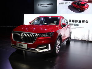 BX5