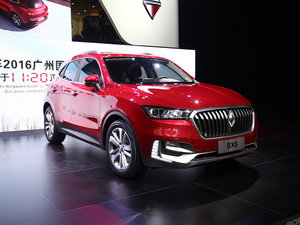 BX5