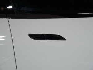MODEL S