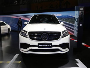 2016AMG GLS Ϻչ