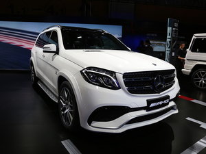 2016AMG GLS Ϻչ