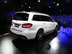 2016AMG GLS Ϻչ