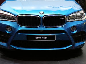 X6 M