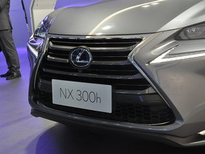 ׿˹NX