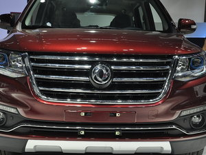 SX6