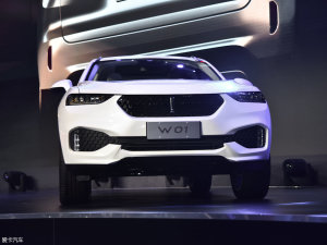 wey汽车报价图片