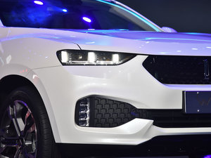 WEY VV7