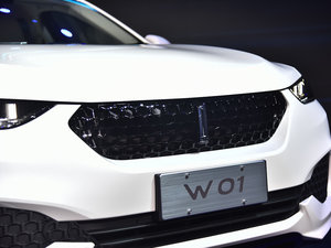 WEY VV7