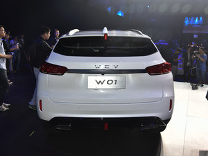 WEY VV7