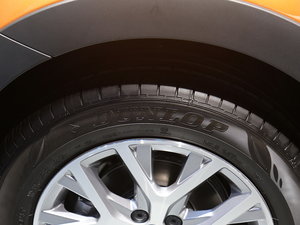 2016Cross Polo Ϻ܇չ