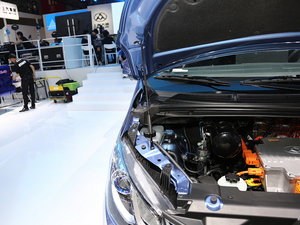 2015ͨMAXUS EG10 Ϻ܇չ