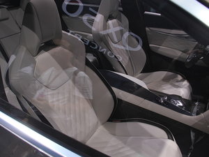 2017ӢQX50(M) Ϻ܇չ