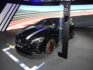 2017YAAMG(M) Ϻ܇չ