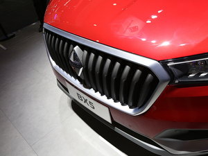 2017��BX5 �Ϻ�܇չ