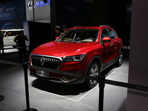 2017��BX5 �Ϻ�܇չ