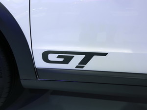 2017^3 GT Ϻ܇չ