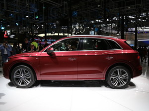 2018µQ5L Ϻչ