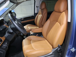 2019ͨMAXUS EG10 Ϻ܇չ