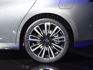 2019A(y)ion S(S) Ϻ܇չ