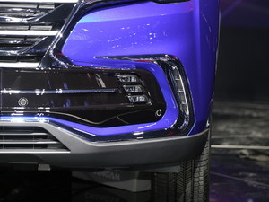 2019LCS85 COUPE Ϻ܇չ