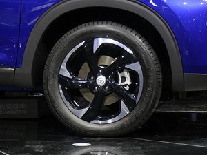 2019LCS85 COUPE Ϻ܇չ