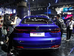 2019LCS85 COUPE Ϻ܇չ