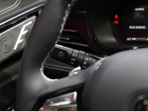 2019LCS85 COUPE Ϻ܇չ