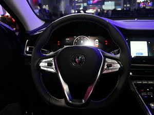 2019LCS85 COUPE Ϻ܇չ