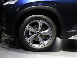 2019F(xin)_(d) Ϻ܇չ