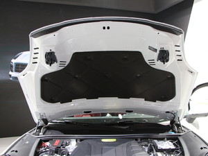 2019CayenneԴ Ϻ܇չ