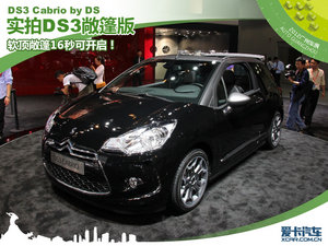 2013DS 3 Ϻ܇չ