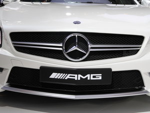 2013AMG SL Ϻչ