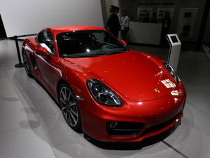 2013Cayman Ϻ܇չ