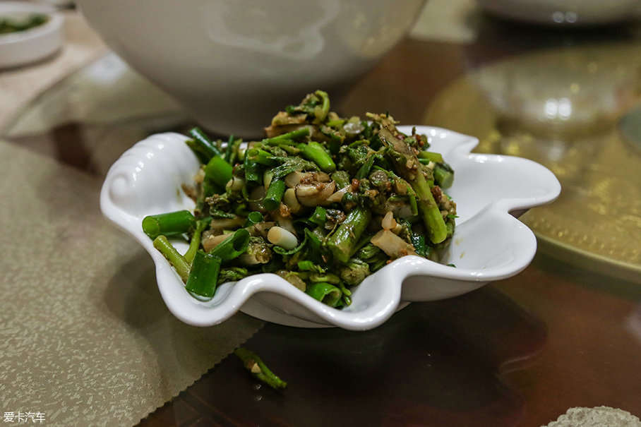 发现神行游记