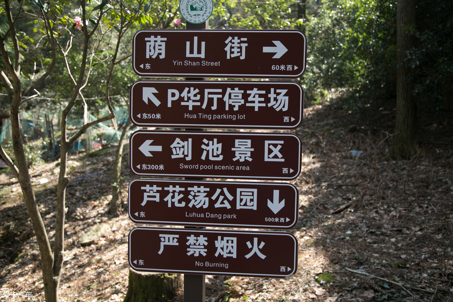 大通D90游记精选