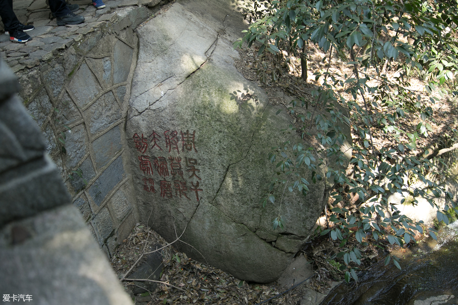 大通D90游记精选