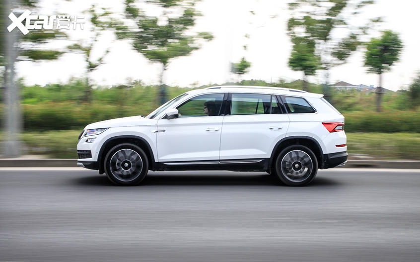 柯迪亞克幫她選