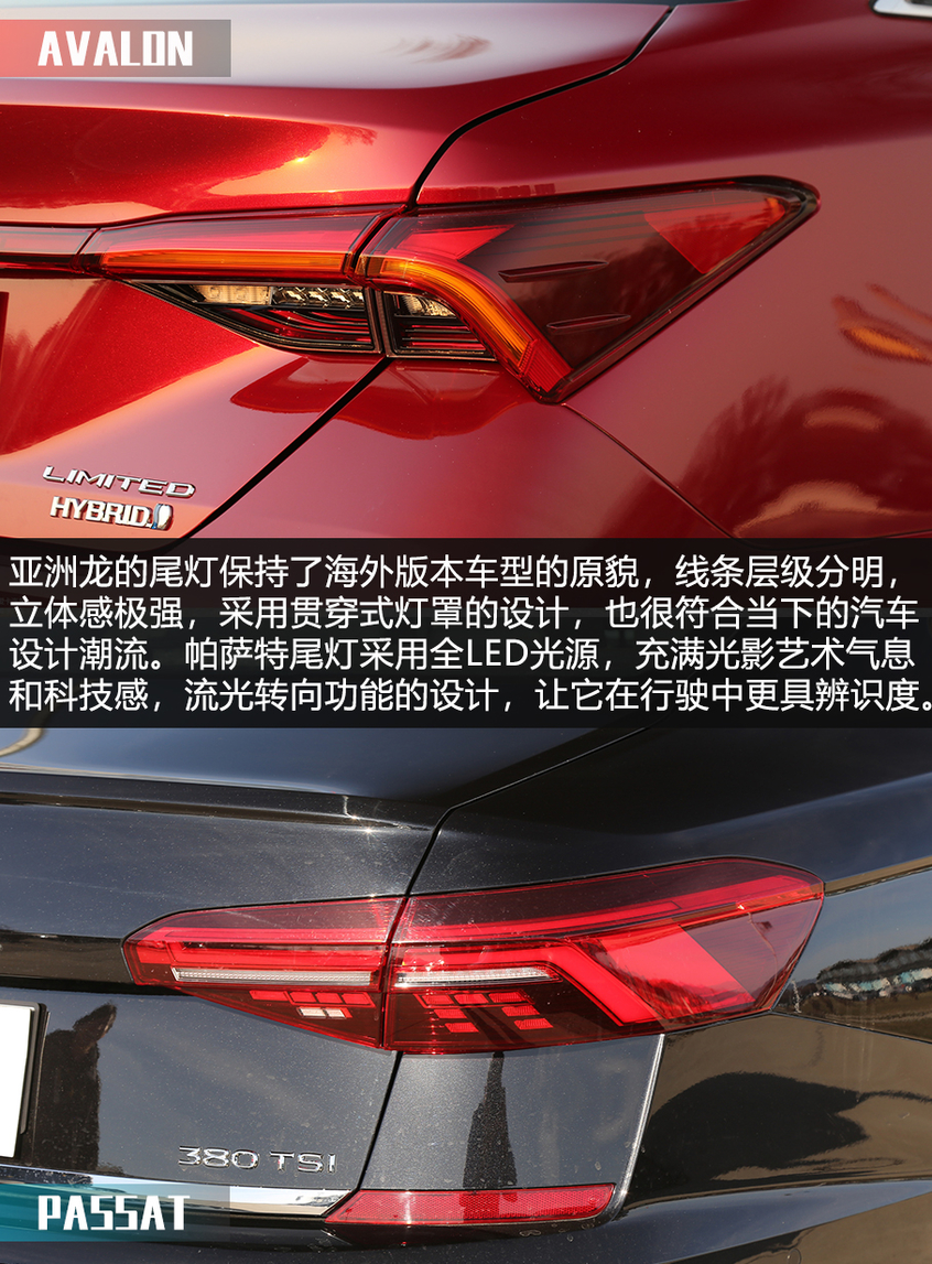 X擂臺：亞洲龍對比帕薩特