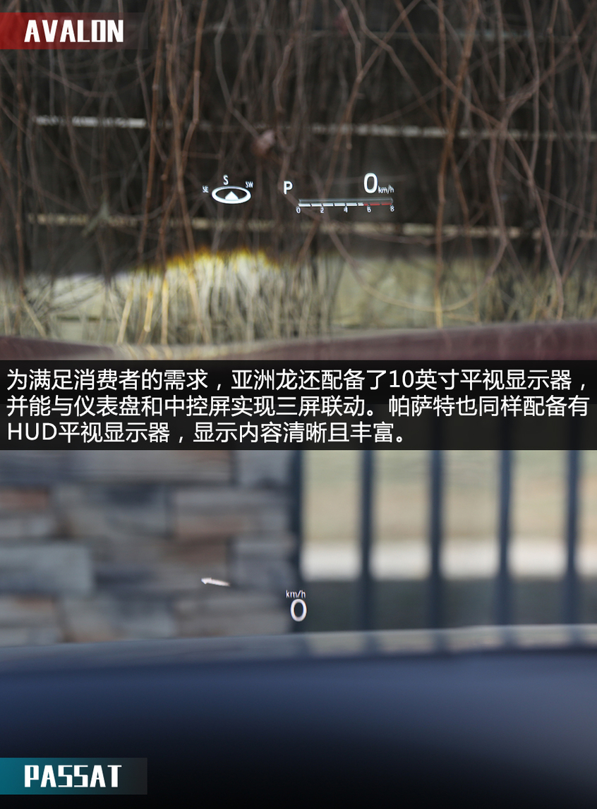 X擂臺：亞洲龍對比帕薩特