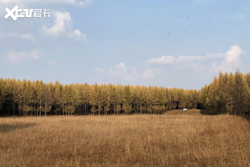 開阿特茲一路向北 路上風景