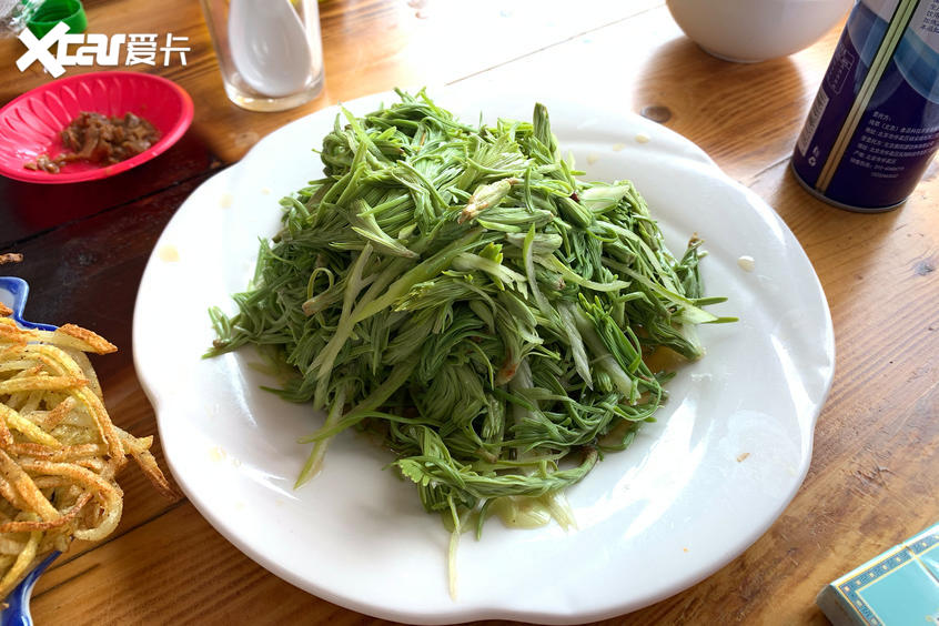 開阿特茲一路向北 拍照就得凹造型