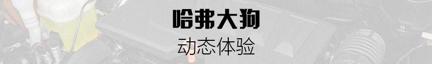 试驾哈弗大狗：动态体验
