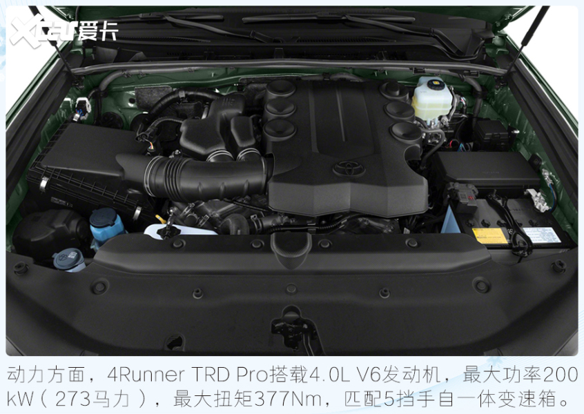 冬奧明星代言車型盤點