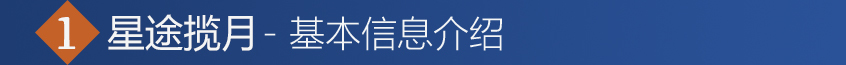 星途2021款星途VX