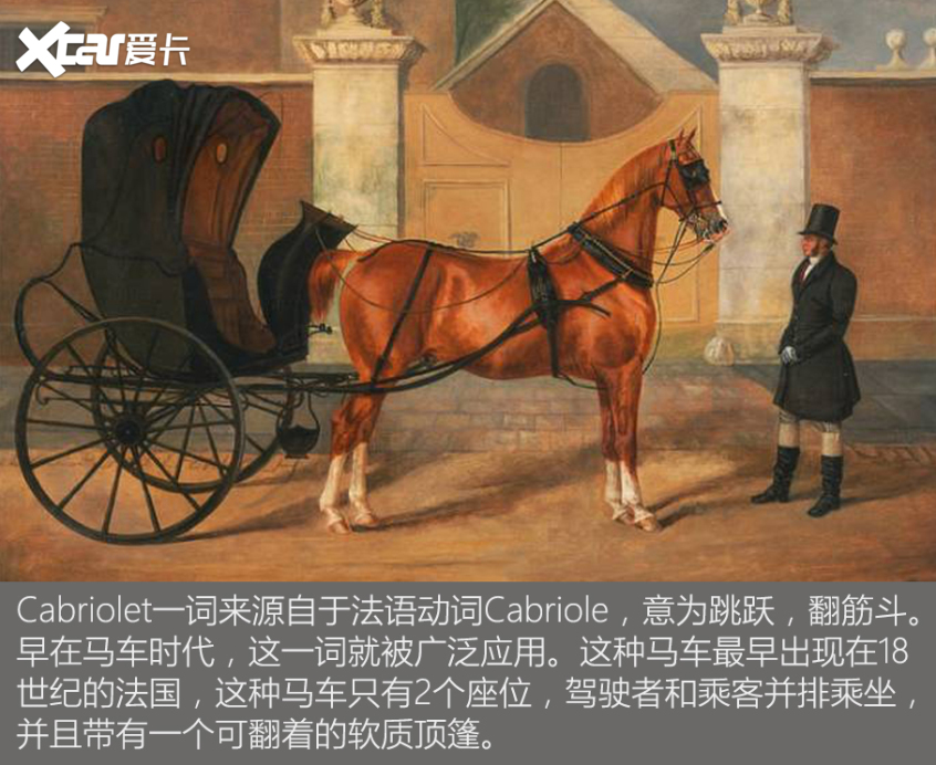 Open-top｜Convertible/Cabriolet