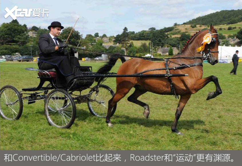 Roadster｜Spyder/Spider