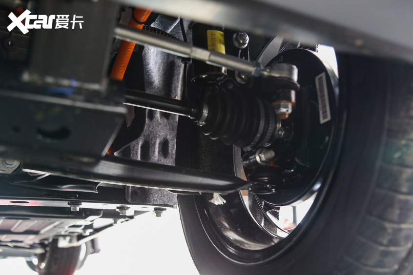 實(shí)拍小螞蟻20萬蟻粉款