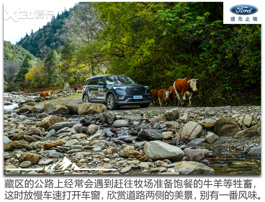 探险者Glamping之旅