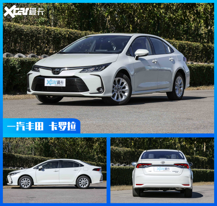 萬年不變的冠軍