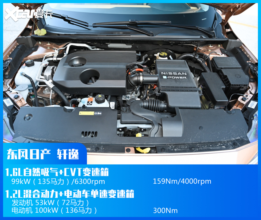 萬年不變的冠軍